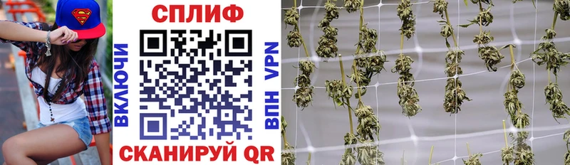 Купить наркотик аптеки Киреевск АМФ A PVP Галлюциногенные грибы Бошки Шишки ссылка на мегу онион Мефедрон