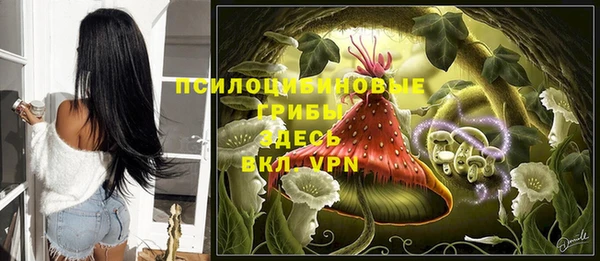 индика Алзамай