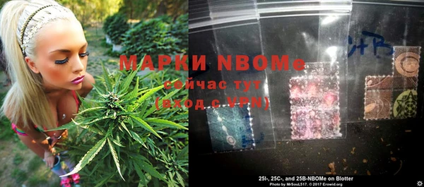 индика Алзамай