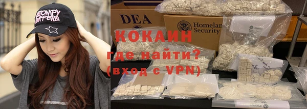 индика Алзамай