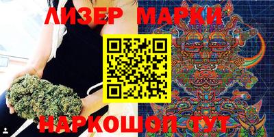 прущие грибы Вышний Волочёк