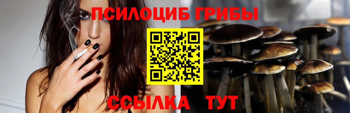 Киреевск  Галлюциногенные грибы Cubensis  Вход с VPN 